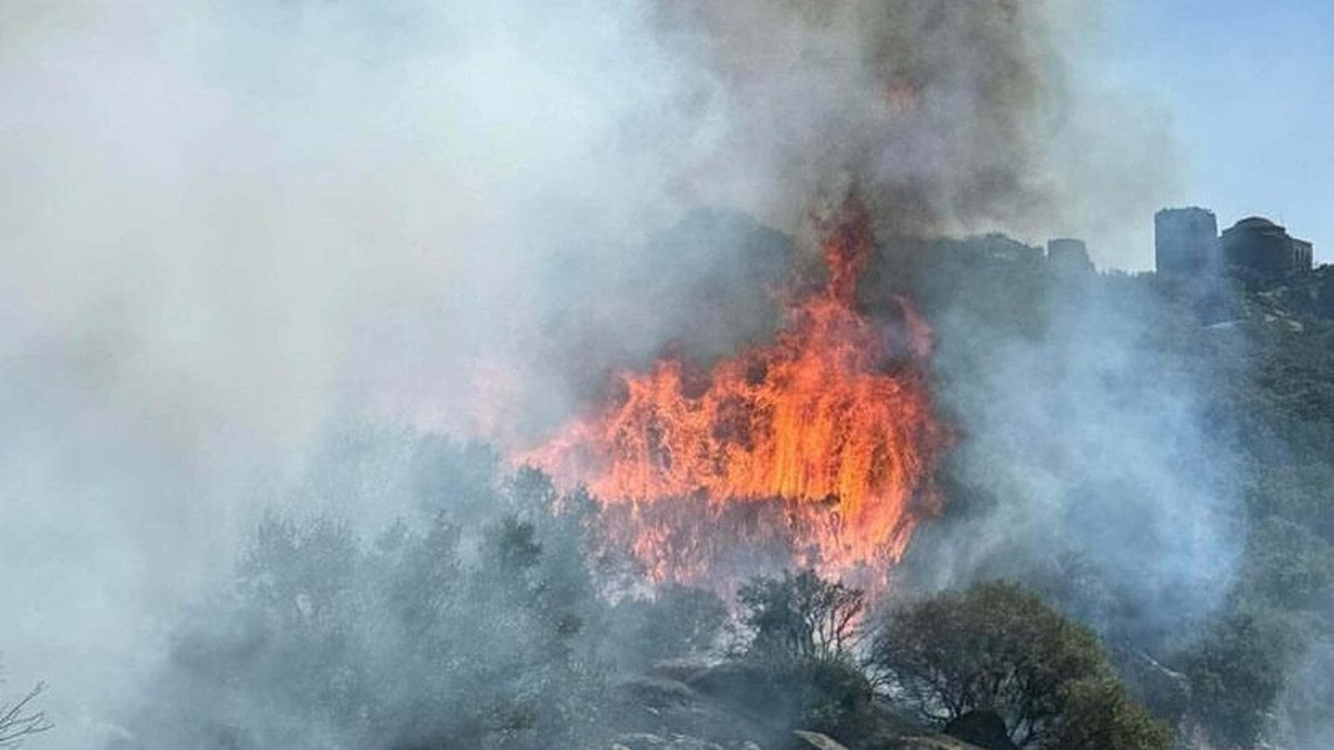 Çanakkale Ayvacık'taki makilik alanda yangın çıktı