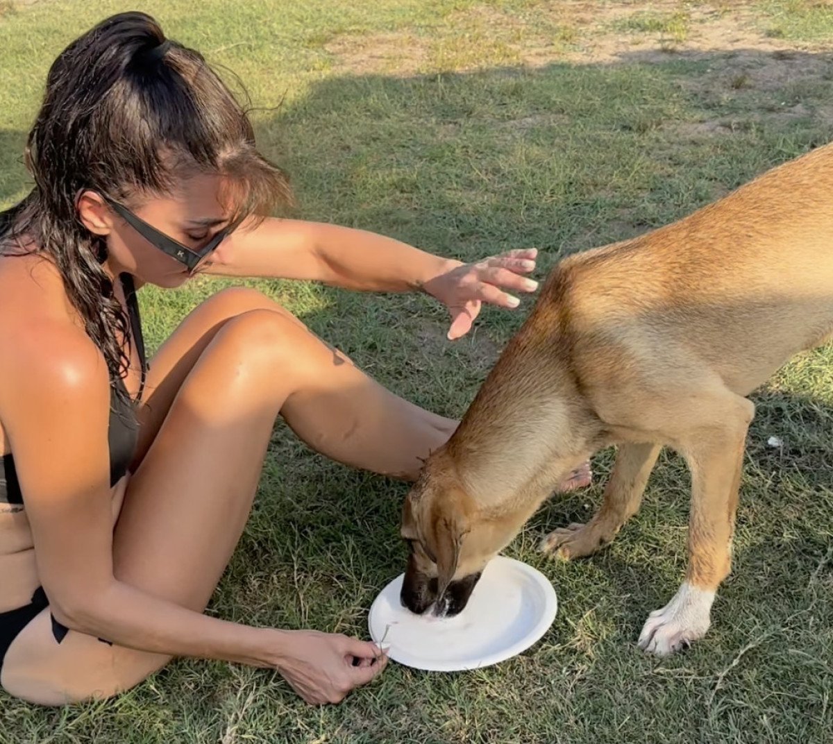 Hande Yener yanına gelen köpeğe önce köfte ısmarladı ardından denize soktu