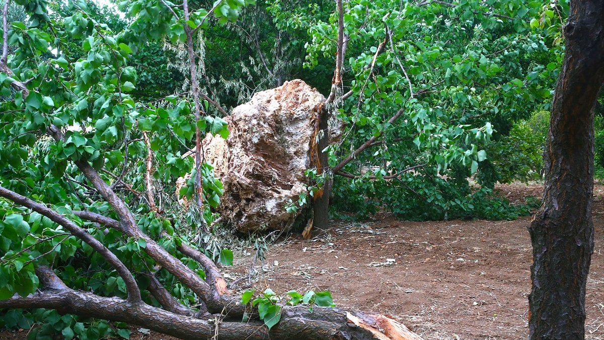 Hatay'da dağdan kopan kaya, evin bahçesine düştü