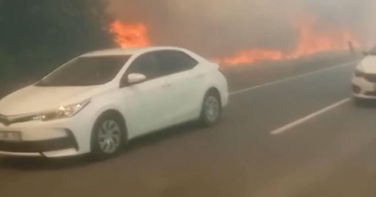 İzmarit faciası! Kara yolu alevlerin arasında kaldı