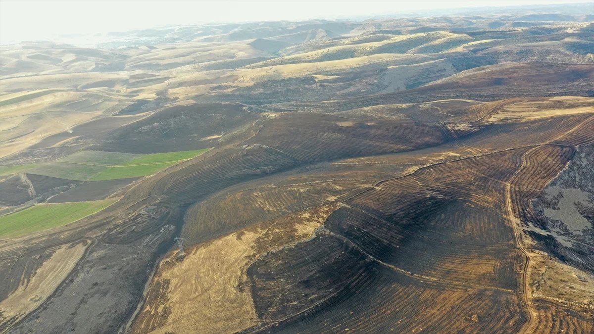 Mardin ve Diyarbakır'daki yangın faciasının hasar tespit çalışmaları tamamlandı