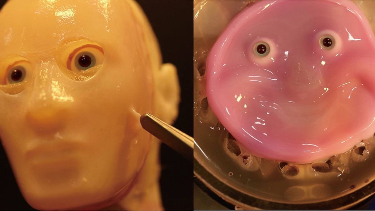 Scientists create a face for robots out of 'cultured human cells' and it's something that I wish I could unsee now