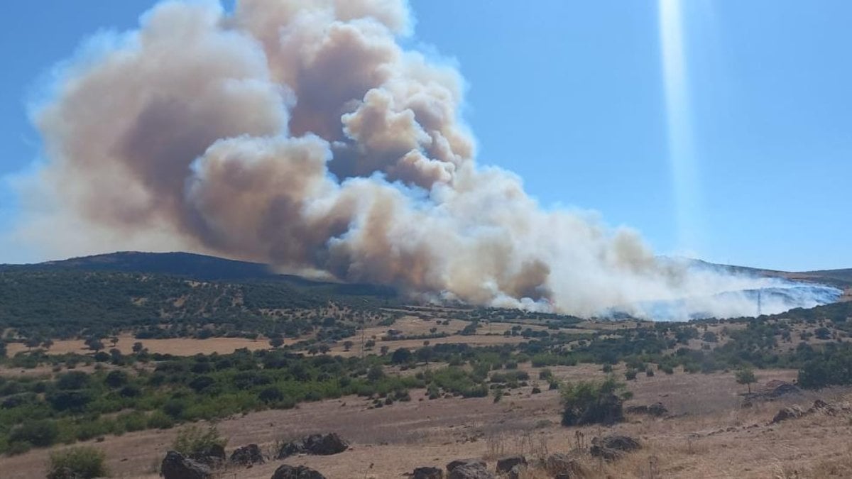 Türkiye'nin yangın risk haritası: En tehlikeli bölgeler belli oldu