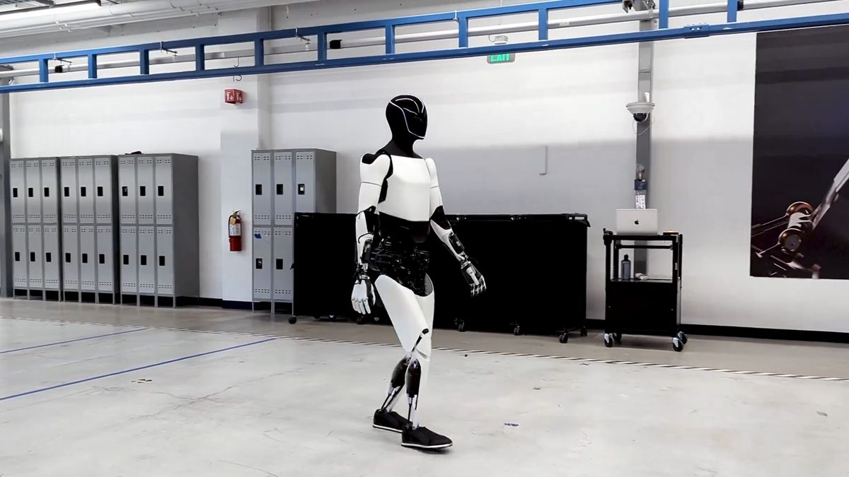 Tesla will roll out 'genuinely useful' humanoid robots to factory floor next year says Musk