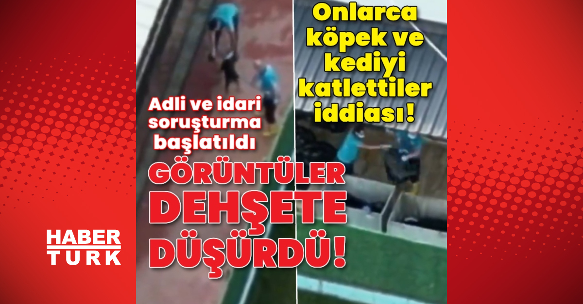 Onlarca hayvanı katlettiler iddiası!