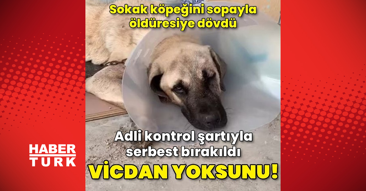 Sokak köpeğini sopayla dövdü!